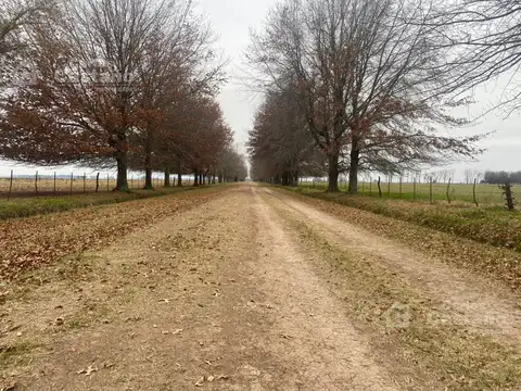Campo en Mercedes 514 HA Apto Agricultura.
