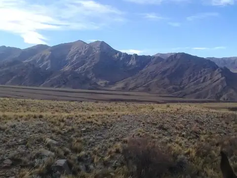 Campo en venta - 30.000.000mts2 - San Juan