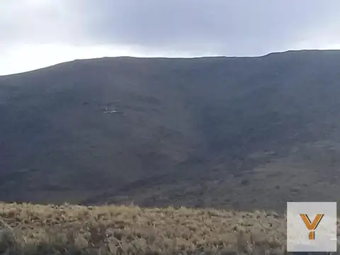 Campo en venta - 30.000.000mts2 - San Juan