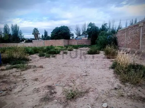 Terreno en Venta 38  mts Fondo