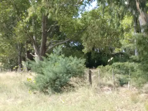 RUTA 11 INTERNA 32 V.G