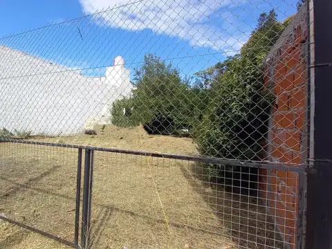 Terreno en Alquiler de 300,0 m2