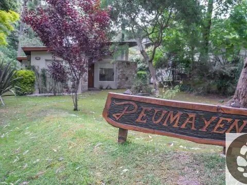 C. Gesell e/ J. Hernandez y P. Cardiel