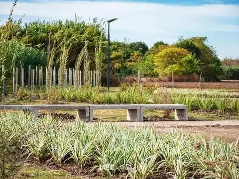 Terreno en Venta 30  mts Fondo
