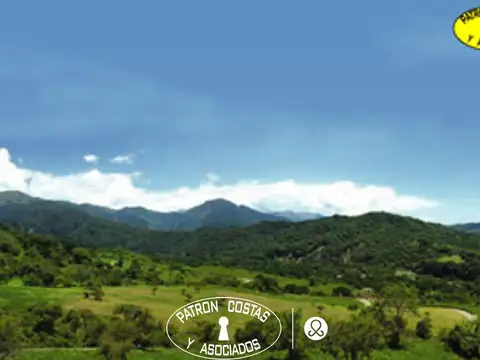 LA HOYADA-CASTELLANOS L 32