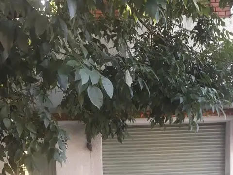 CASA 4AMB, CON FONDO LIBRE, GARAGE Y LOCAL. SOBRE 3 DE FEBRERO  300 MTS DE AV. MITRE