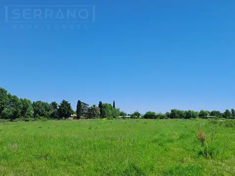 LDO. Venta Campo Fracción 10 hectareas Apto Desarrollo Loteo Casa 4 ambientes Zarate