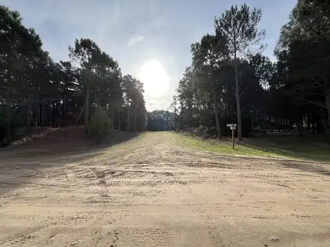 Terreno en Venta de 667,0 m2