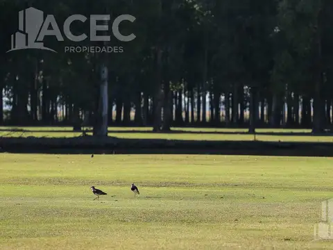 Venta Terreno en Campo TImbó Club de Campo y Golf - Oliveros