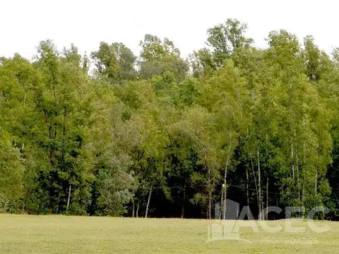 Terreno en Venta en Oliveros, USD 32.000