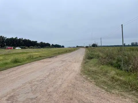 Panamericana 100