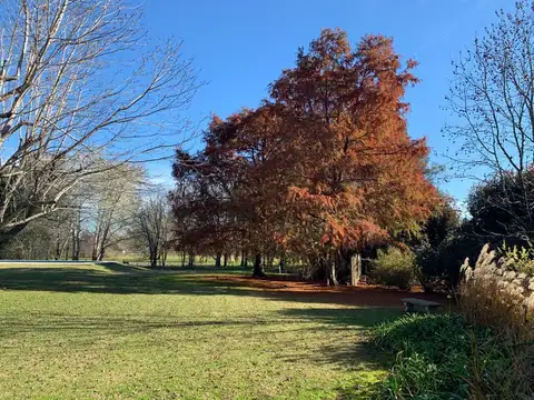 Terreno en Venta de 1101,0 m2