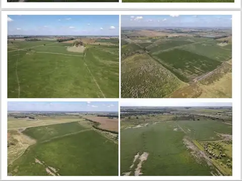 OPORTUNIDAD VENTA CAMPO EN LA MATANZA