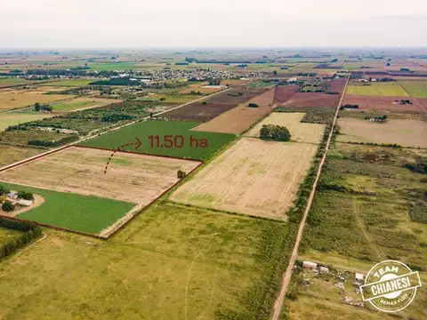 Campo en Fighiera con Casa quinta y Galpones