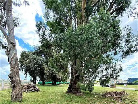 Lote Perimetral en venta en Pilar del Este Barrio San Ramón