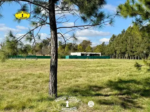 Terreno en Venta en La Asuncion, USD 15.000