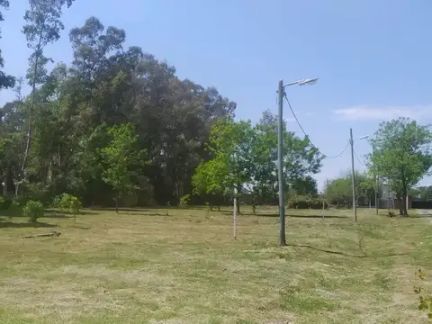 TERRENO EN VENTA EN SAN VICENTE 605M2