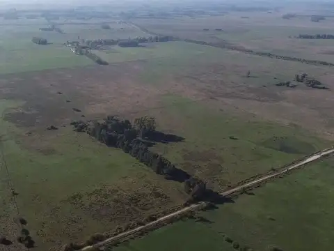 Campo de 52,6 has en venta cercano a plomer - Gral Las Heras