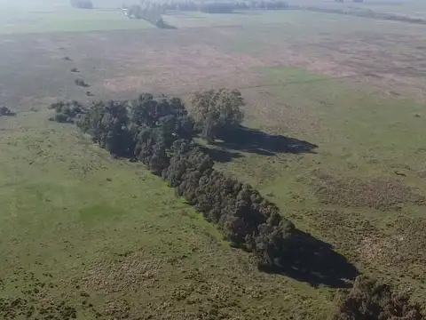 Campo de 52,6 has en venta cercano a plomer - Gral Las Heras