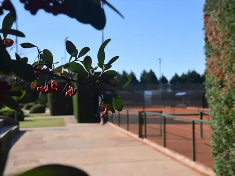 Terreno en Venta en Pilara, USD 300.000