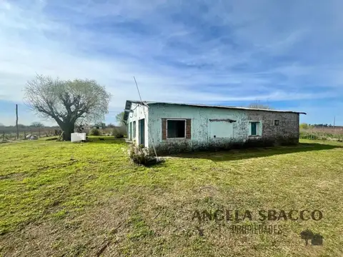 Campo en Venta Agrícola