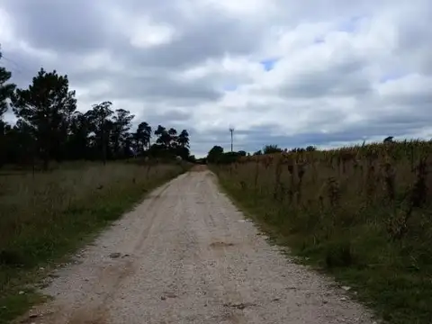 Campo en venta - 40.000Mts2 - Balcarce