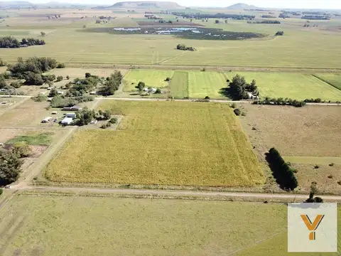 Campo en venta - 40.000Mts2 - Balcarce