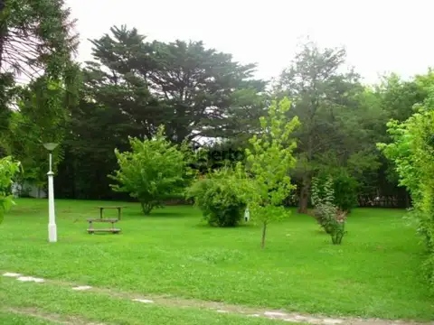 Casa - Villa Elisa