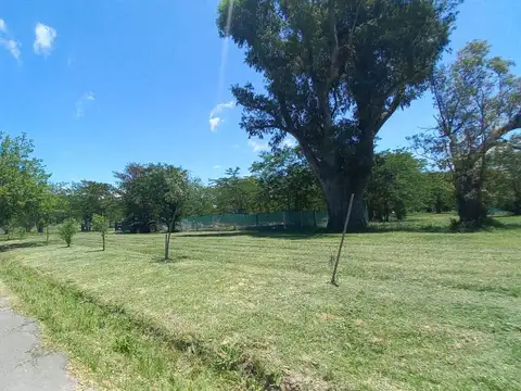 Terreno en Venta 17  mts Frente