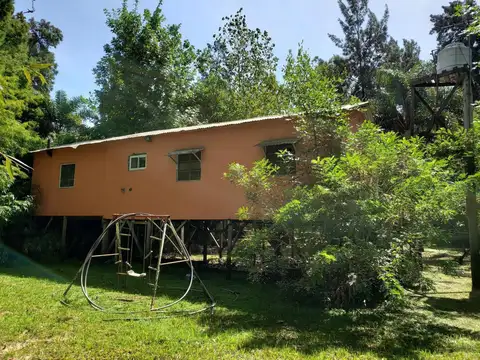 Arroyo Rama Negra 100