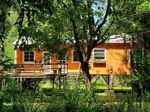 Arroyo Rama Negra 100