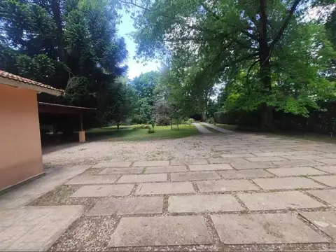 Doctor Pedro Arata 2200