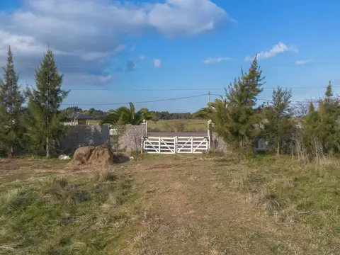 HECTAREAS EN VENTA EN MAGDALENA