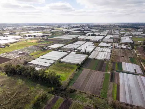 HECTAREAS EN ABASTO EN VENTA -  LA PLATA