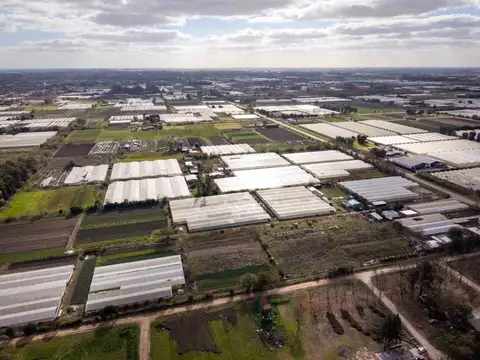 HECTAREAS EN ABASTO EN VENTA -  LA PLATA
