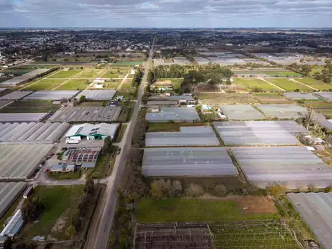 HECTAREAS EN ABASTO EN VENTA -  LA PLATA