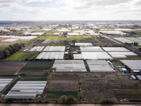 HECTAREAS EN ABASTO EN VENTA -  LA PLATA