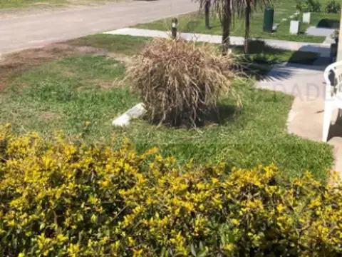 Departamento en Alquiler Permite mascota