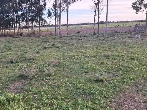 Terreno en Venta en Mora, USD 4.500