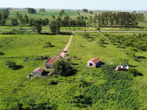 Ruta 39