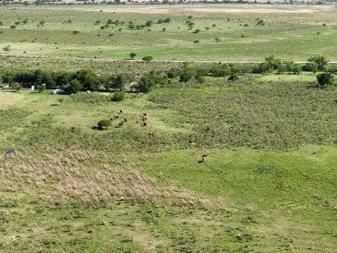 Ruta 39