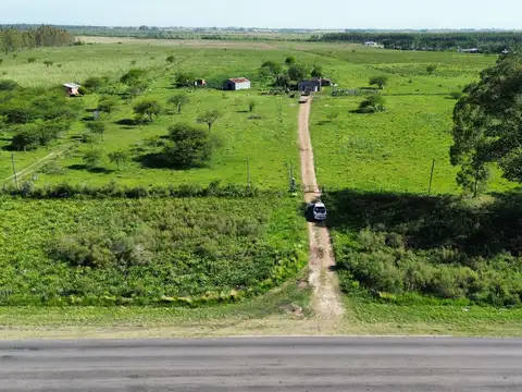 Ruta 39