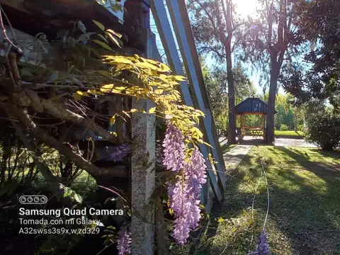 Rio / Arroyo Antequera Las Gotita 100