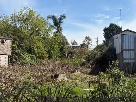 Paralela Norte Interbalnearia 100