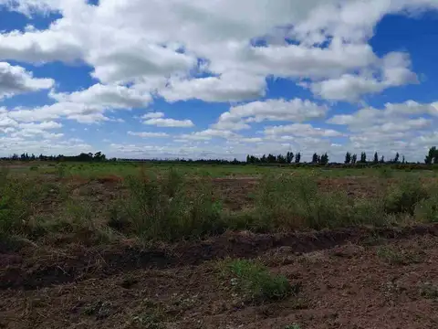 Ruta Provincial 24