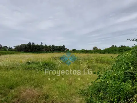 VENTA- 2 LOTES DE 2.500 M2 - SINSACATE