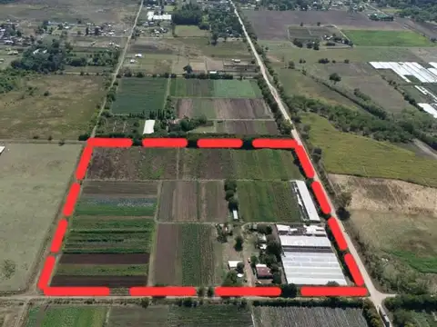 VENTA CAMPO 7,8 HAS AV. ALLAN Y 639. F. VARELA