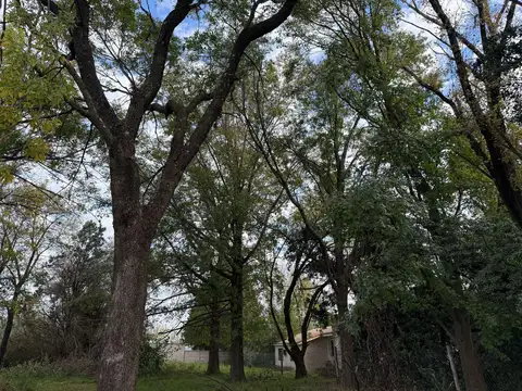 Terreno en Venta de 1264,0 m2