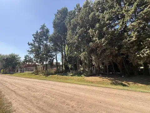 José Ingenieros 5600