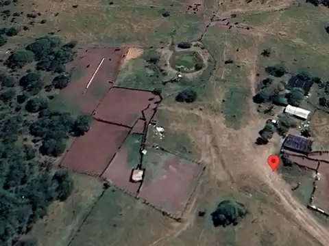 Campo 900 hectareas ganaderas Sauce1450